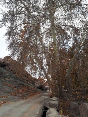 سفر تیم طبیعت گردی مرکز به کاشان ، روستای ابیانه و منظقه کویری: عکس شماره 8 / 12